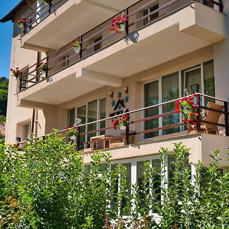 Vila Victoria Râmnicu Vâlcea Buitenkant foto