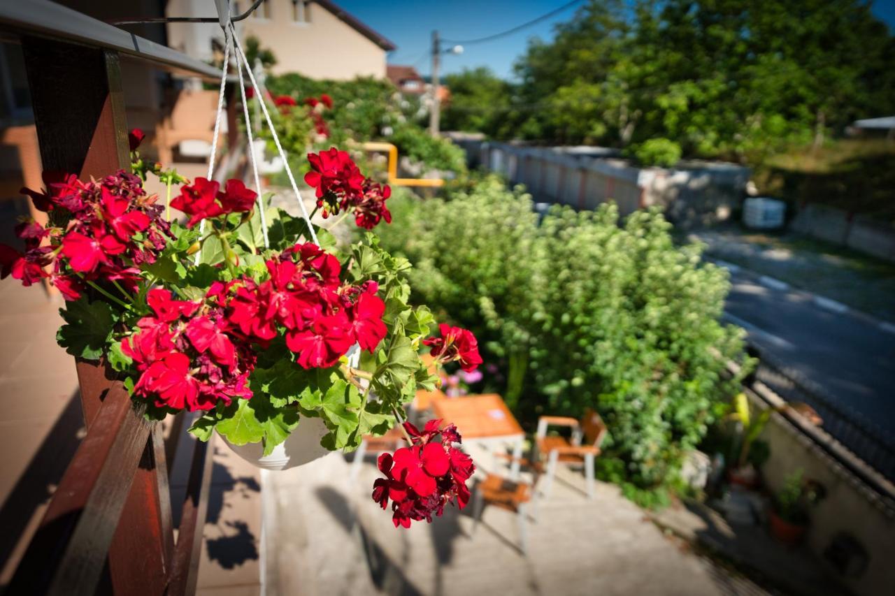 Vila Victoria Râmnicu Vâlcea Buitenkant foto