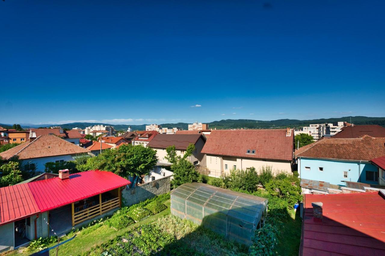 Vila Victoria Râmnicu Vâlcea Buitenkant foto