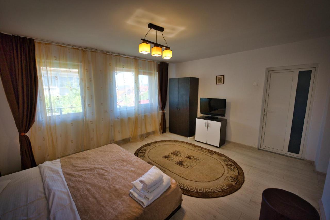 Vila Victoria Râmnicu Vâlcea Buitenkant foto