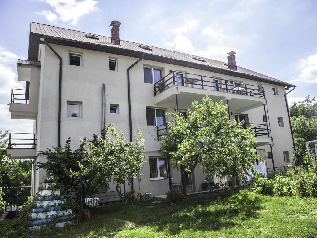 Vila Victoria Râmnicu Vâlcea Buitenkant foto